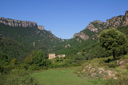 Amplieu imatge